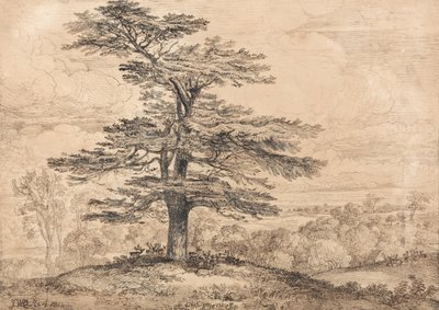 Eine Zeder auf einem Hügel mit einer Gruppe von Hirschen im Schatten von James Ward
